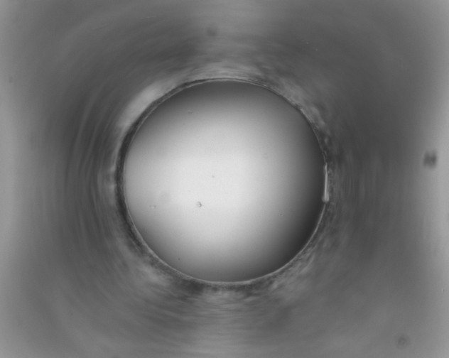 X0000090750340200708172032