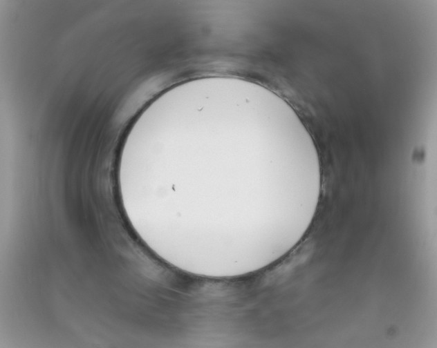 X0000090750341200708172032