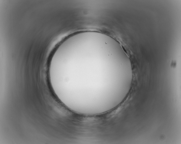 X0000090750342200708172032