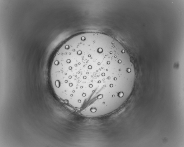 X0000090750343200708172032