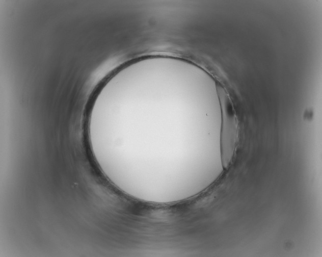 X0000090750344200708172032