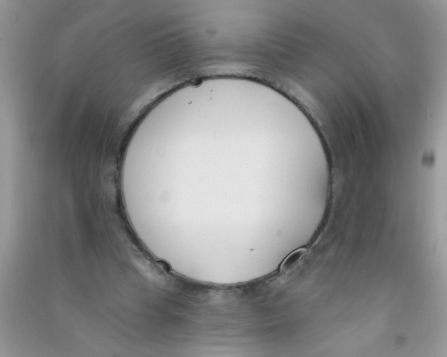 X0000090750345200708172032