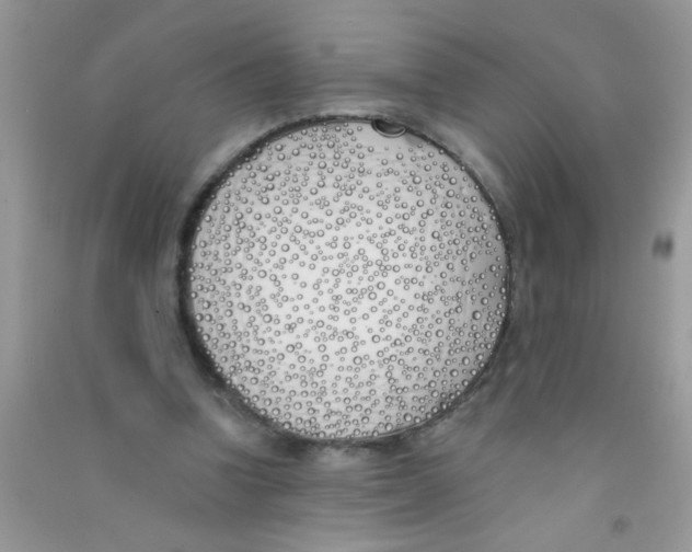 X0000090750346200708172032