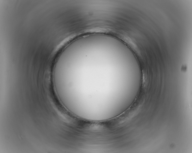X0000090750348200708172032