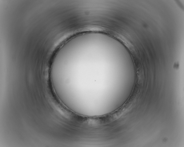 X0000090750350200708172032