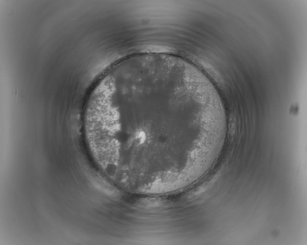 X0000090750351200708172032