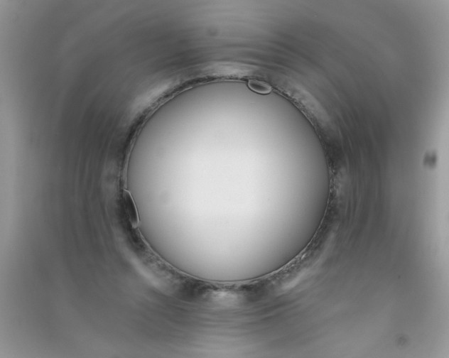 X0000090750352200708172032