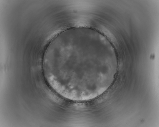 X0000090750353200708172032