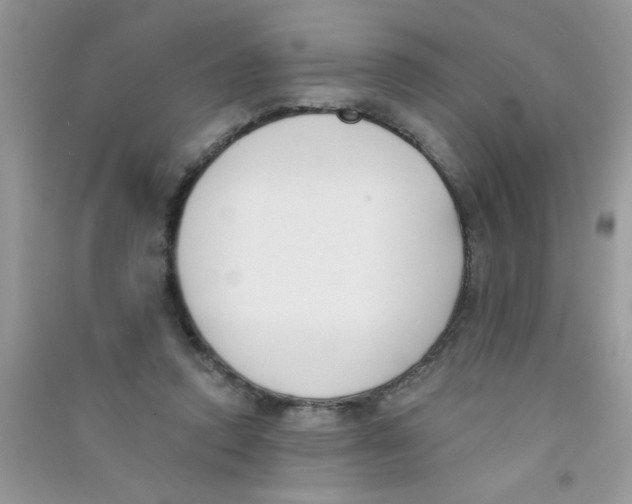 X0000090750354200708172032