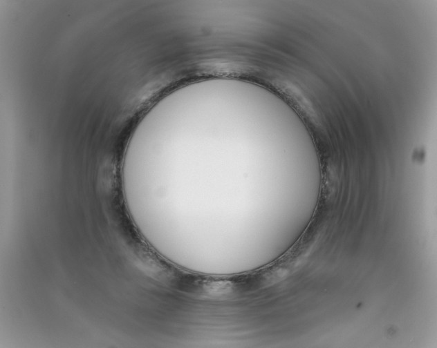 X0000090750355200708172032