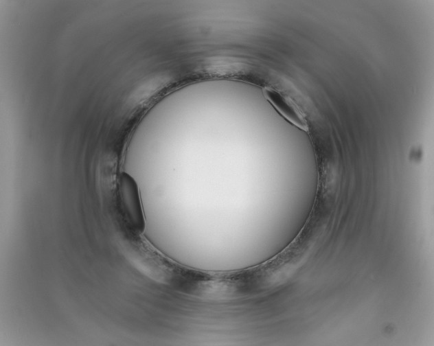 X0000090750356200708172032