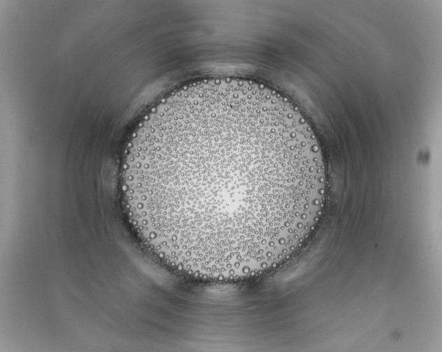 X0000090750357200708172032