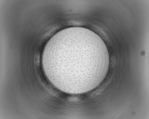 X0000090750358200708172032