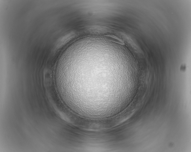 X0000090750360200708172032