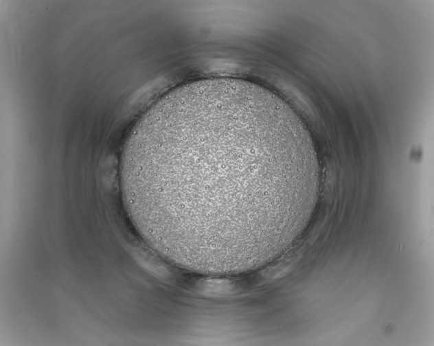 X0000090750361200708172032