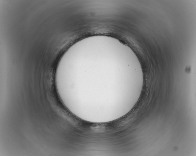 X0000090750362200708172032