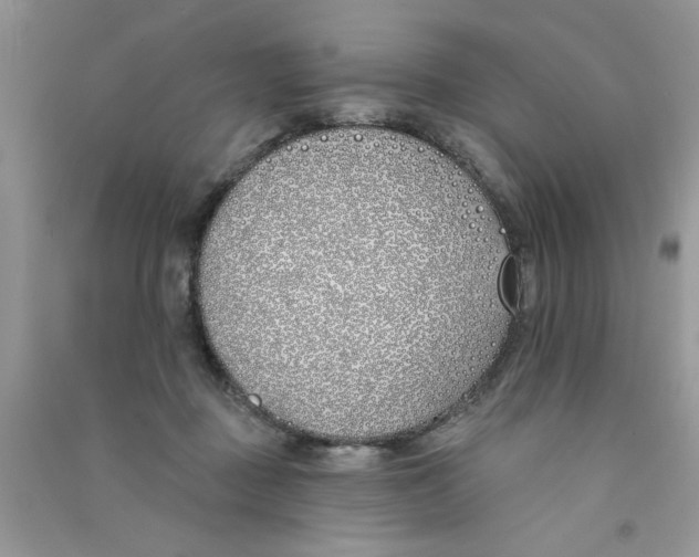 X0000090750363200708172032