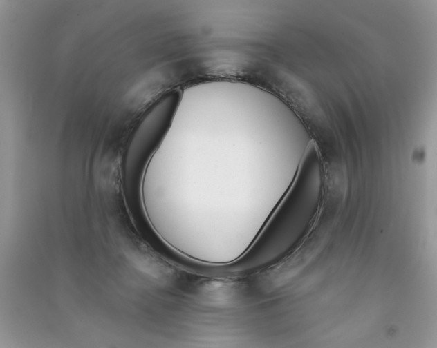 X0000090750364200708172032