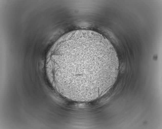 X0000090750365200708172032