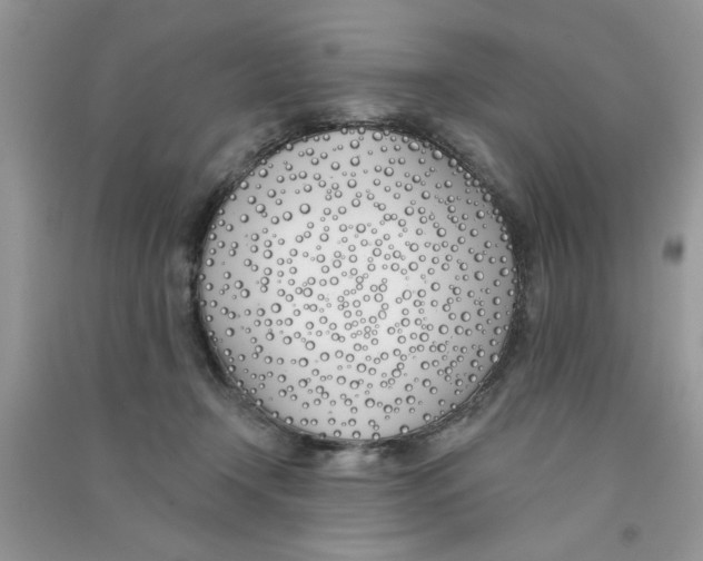 X0000090750366200708172032