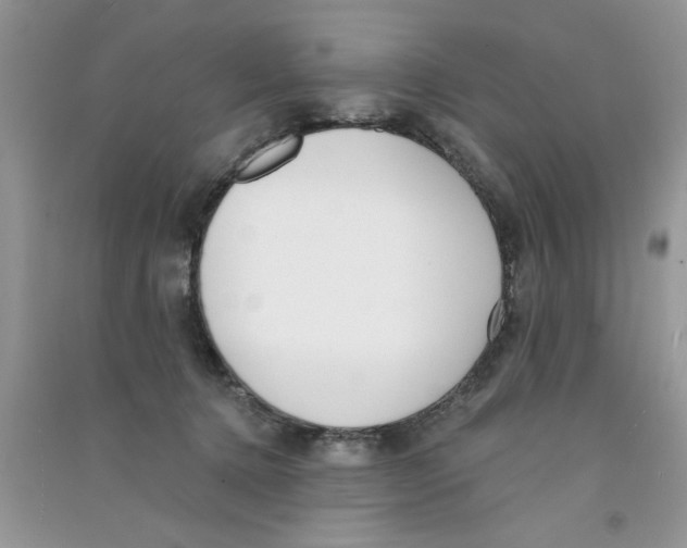 X0000090750368200708172032