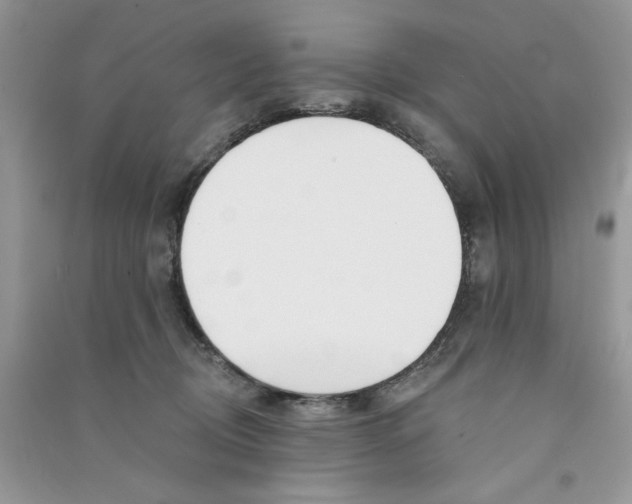 X0000090750370200708172032