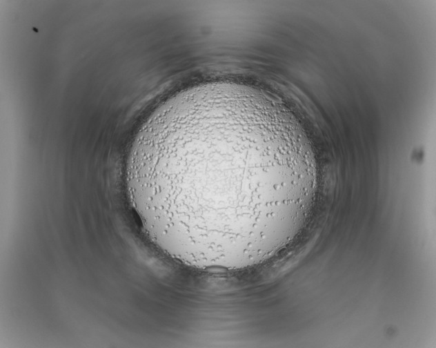 X0000090750372200708172032