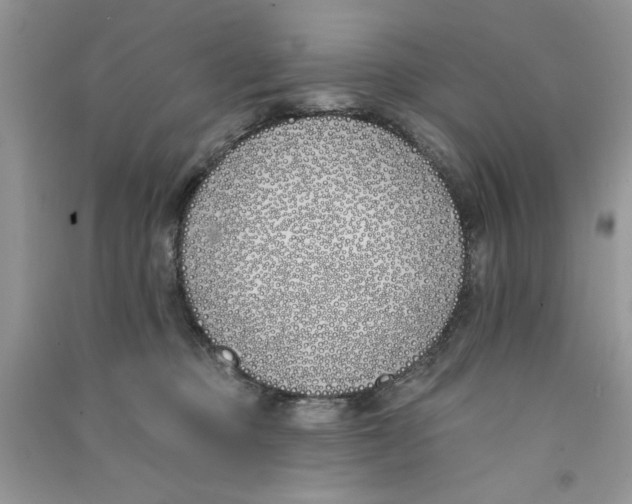 X0000090750373200708172032