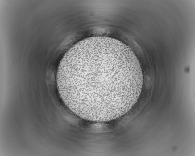 X0000090750375200708172032