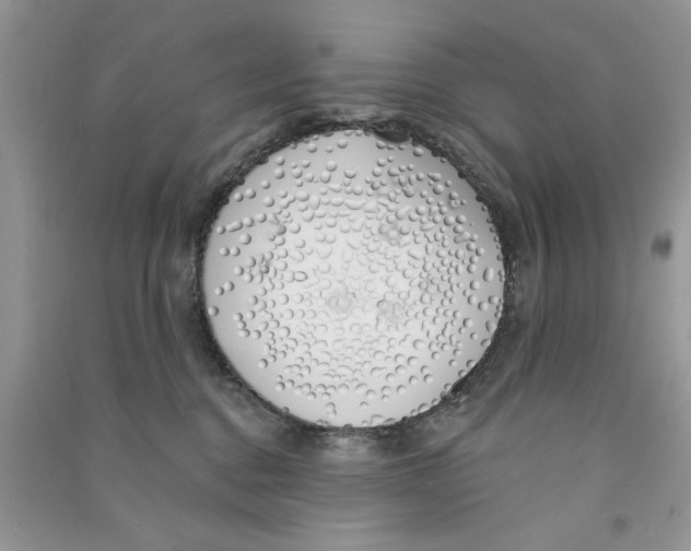 X0000090750376200708172032