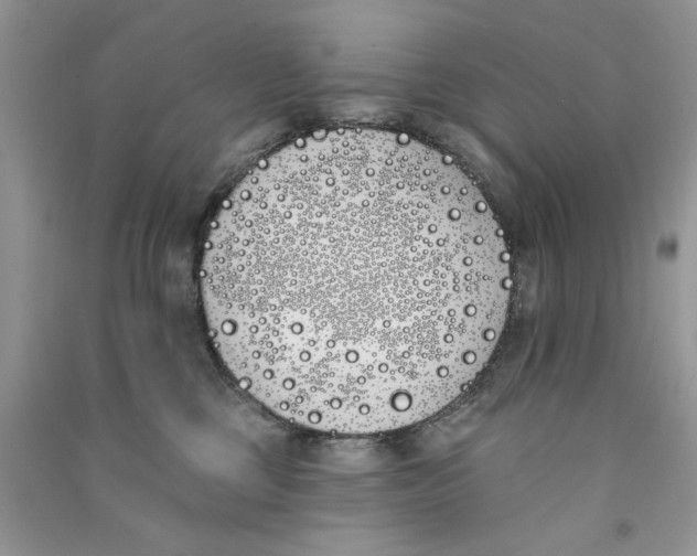 X0000090750377200708172032