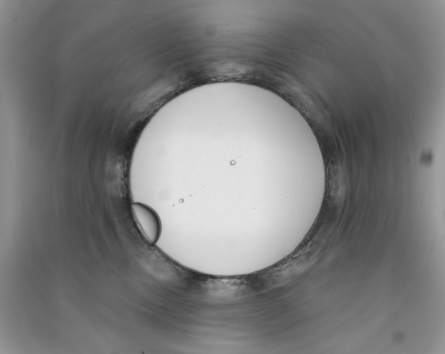 X0000090750378200708172032