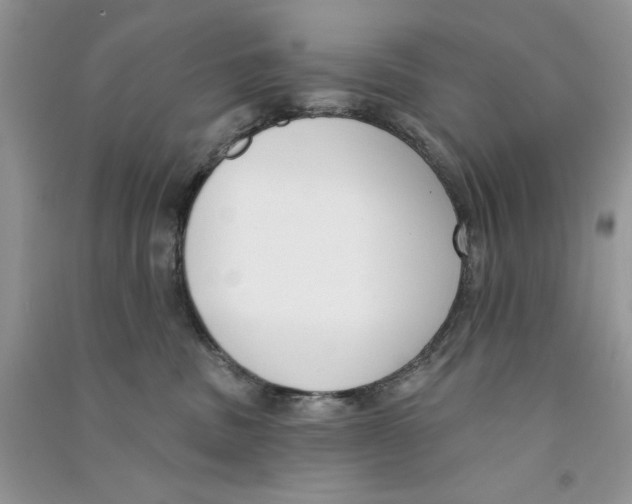 X0000090750379200708172032