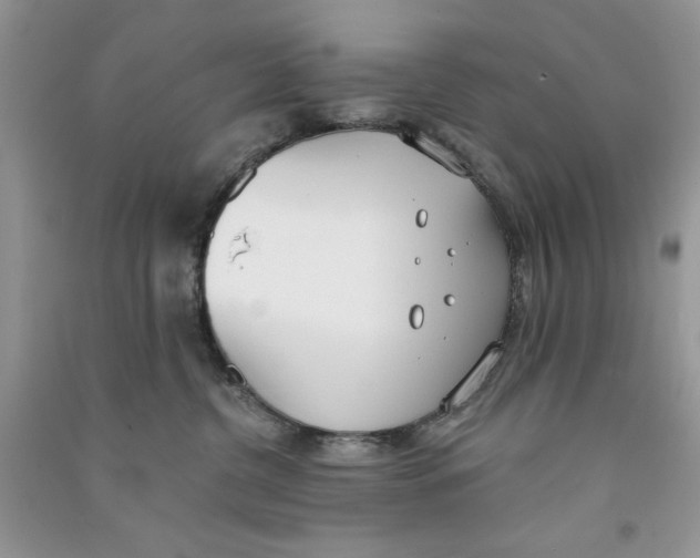 X0000090750380200708172032