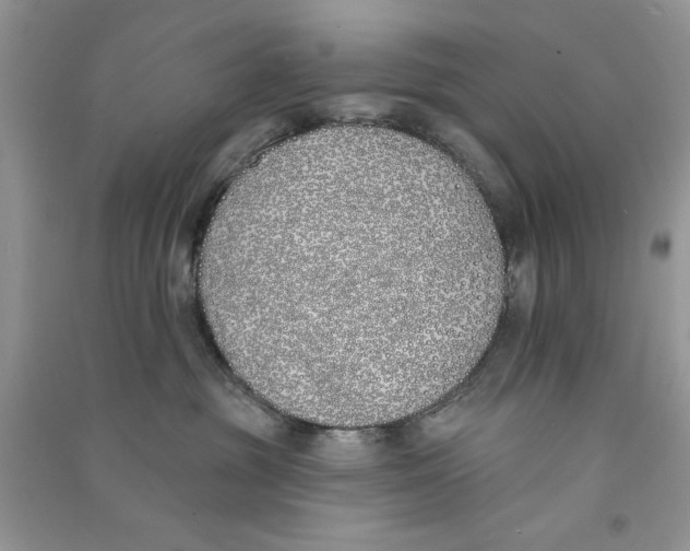 X0000090750381200708172032