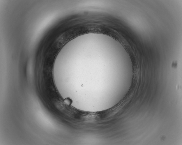X0000090750383200708172032