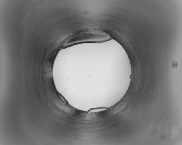 X0000090750384200708172032