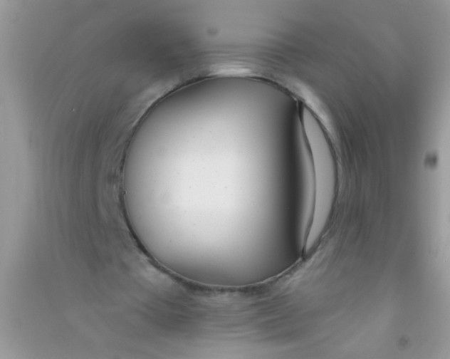 X0000090750385200708172032