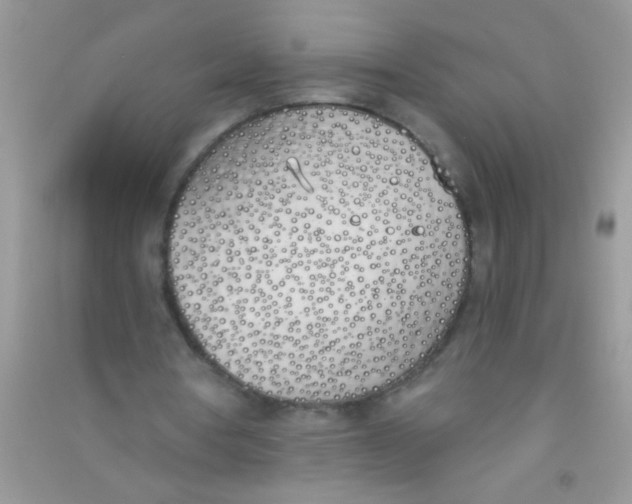 X0000090750386200708172032