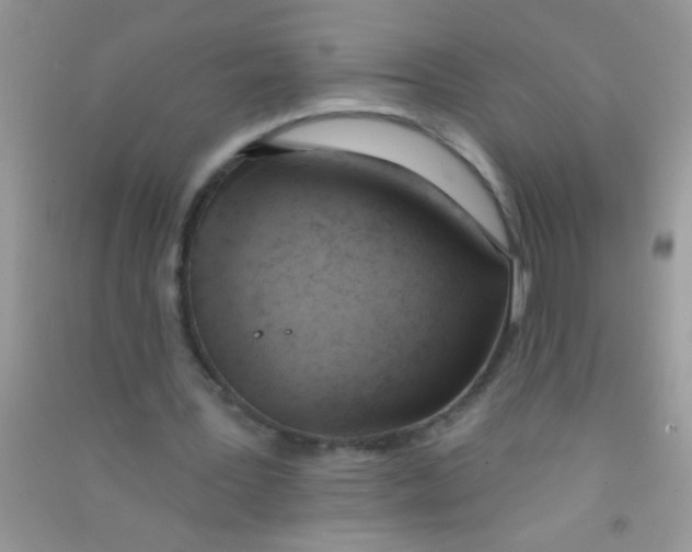 X0000090750387200708172032