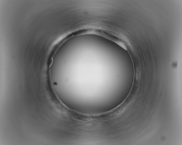 X0000090750388200708172032