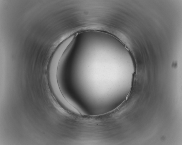 X0000090750389200708172032