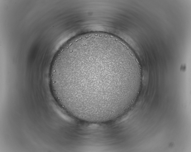 X0000090750390200708172032