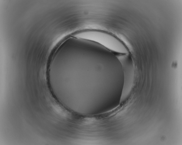 X0000090750391200708172032