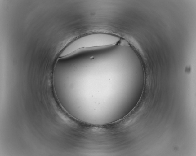 X0000090750393200708172032