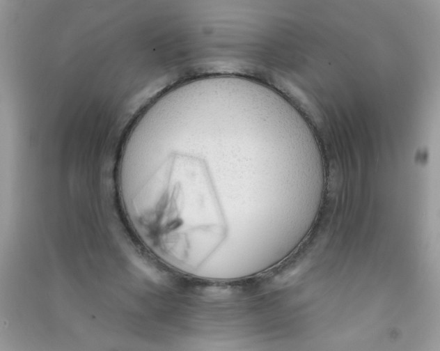 X0000090750394200708172032