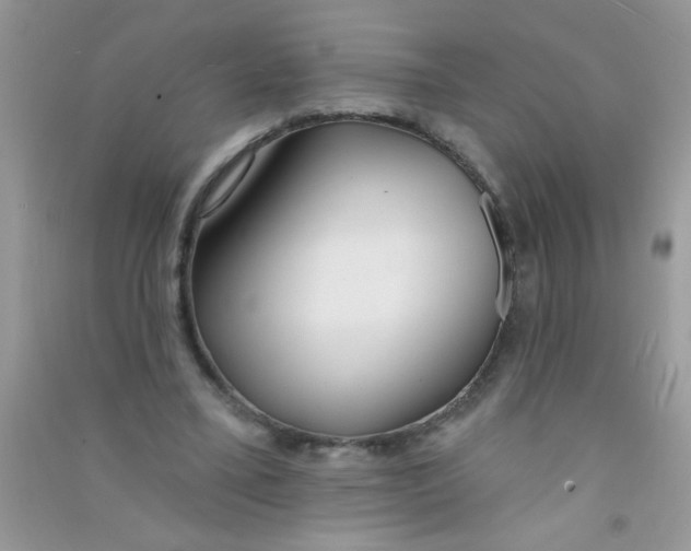 X0000090750395200708172032