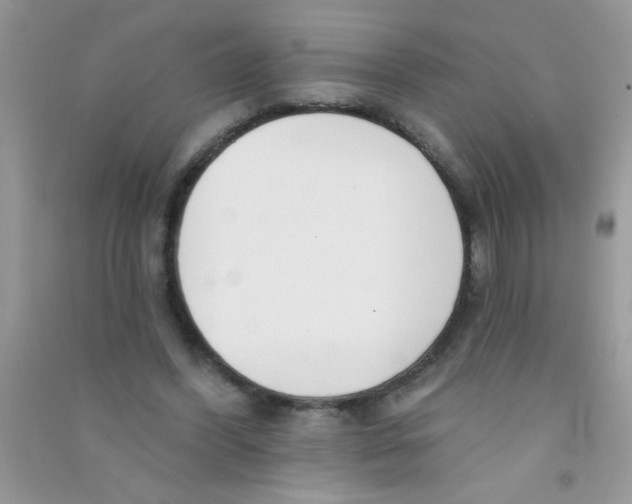 X0000090750396200708172031
