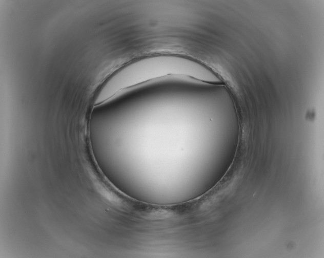 X0000090750397200708172031