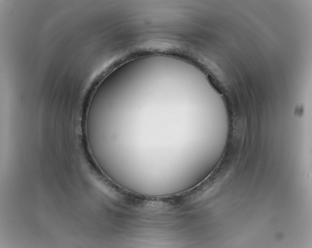X0000090750399200708172031